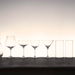 125ml_Martini_Glass_Lifestyle_2.png