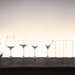 125ml_Martini_Glass_Lifestyle_2.png
