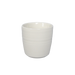 150ml Dale Harris - Beige - No Swatch.png