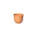 150ml ETC - Orange.png