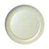 26cm Dinner Plate (Matte Light Green).png