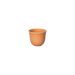 80ml ETC - Orange.png