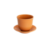 Brewers | 250ml Embossed Tasting Cup